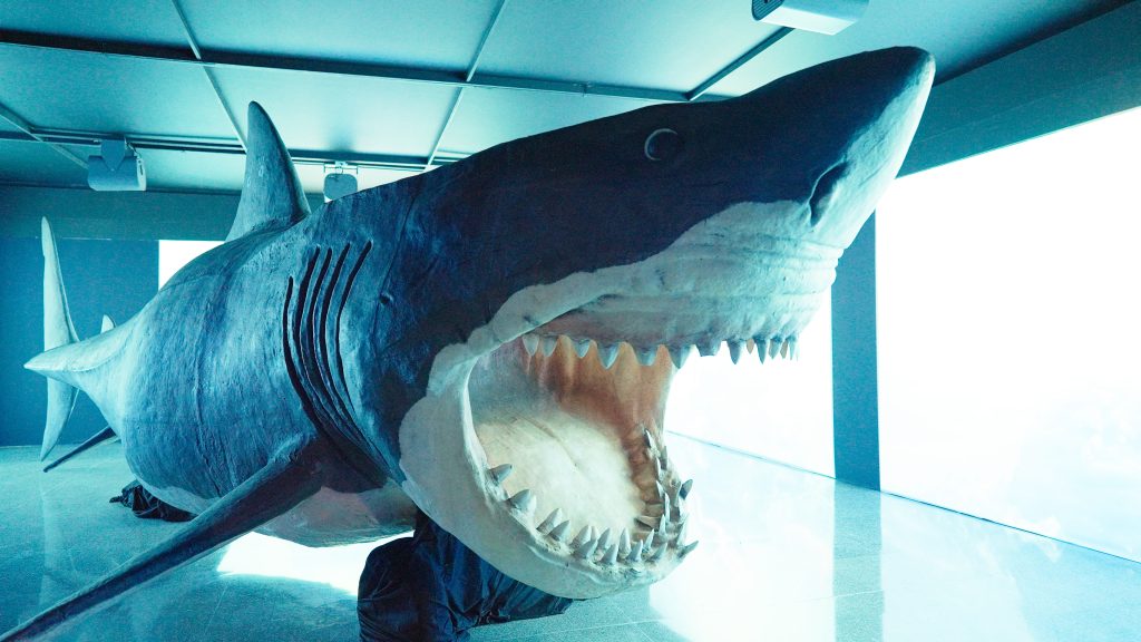 Tiburones gigantes llegan a Medellín con una exposición inmersiva que une arte, ciencia y conciencia ambiental 1 002