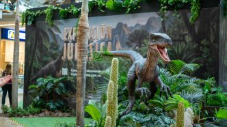 expedicion jurasica