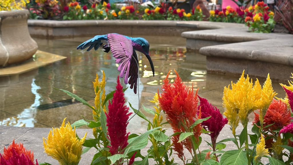 El Tesoro presenta "Colombia, país de las aves" 1 aves el tesoro