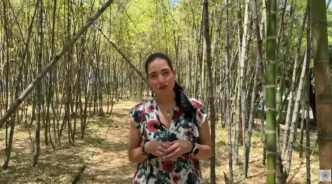 climate week