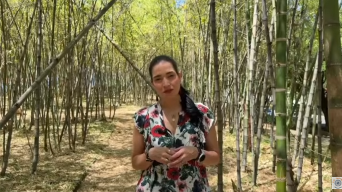 climate week